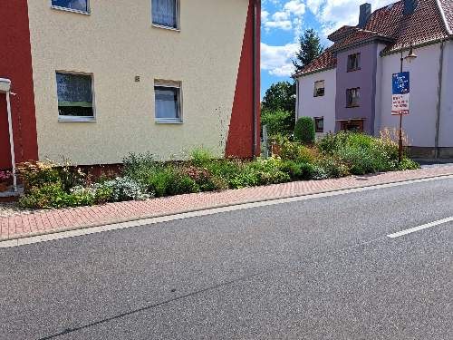 garten-landschaftsbau-schmidt-bad-liebenstein-wartburgkreis-referenz_0004