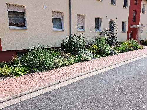 garten-landschaftsbau-schmidt-bad-liebenstein-wartburgkreis-referenz_0005