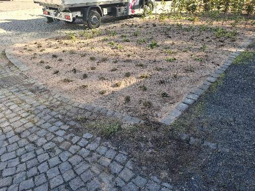 garten-landschaftsbau-schmidt-bad-liebenstein-wartburgkreis-referenz_0008